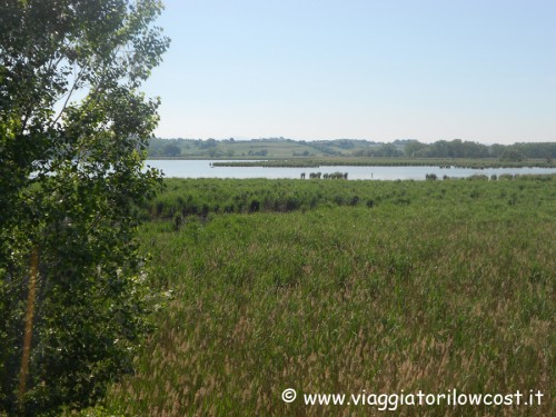 Riserva Naturale Lago di Montepulciano