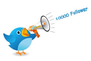 Viaggiatori Low Cost 10.000 follower Twitter