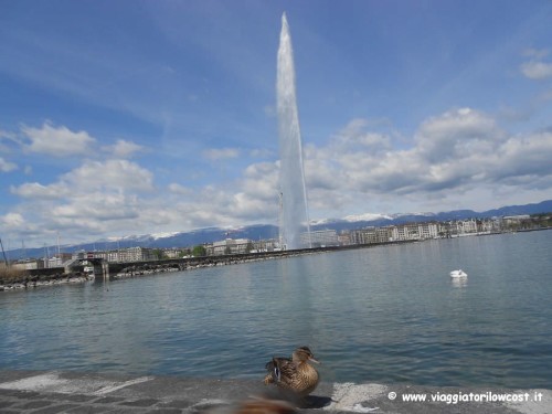 Ammirare lo Jet d'Eau è da fare a Ginevra