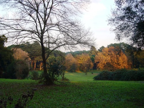 Villa Ada ville più belle di Roma